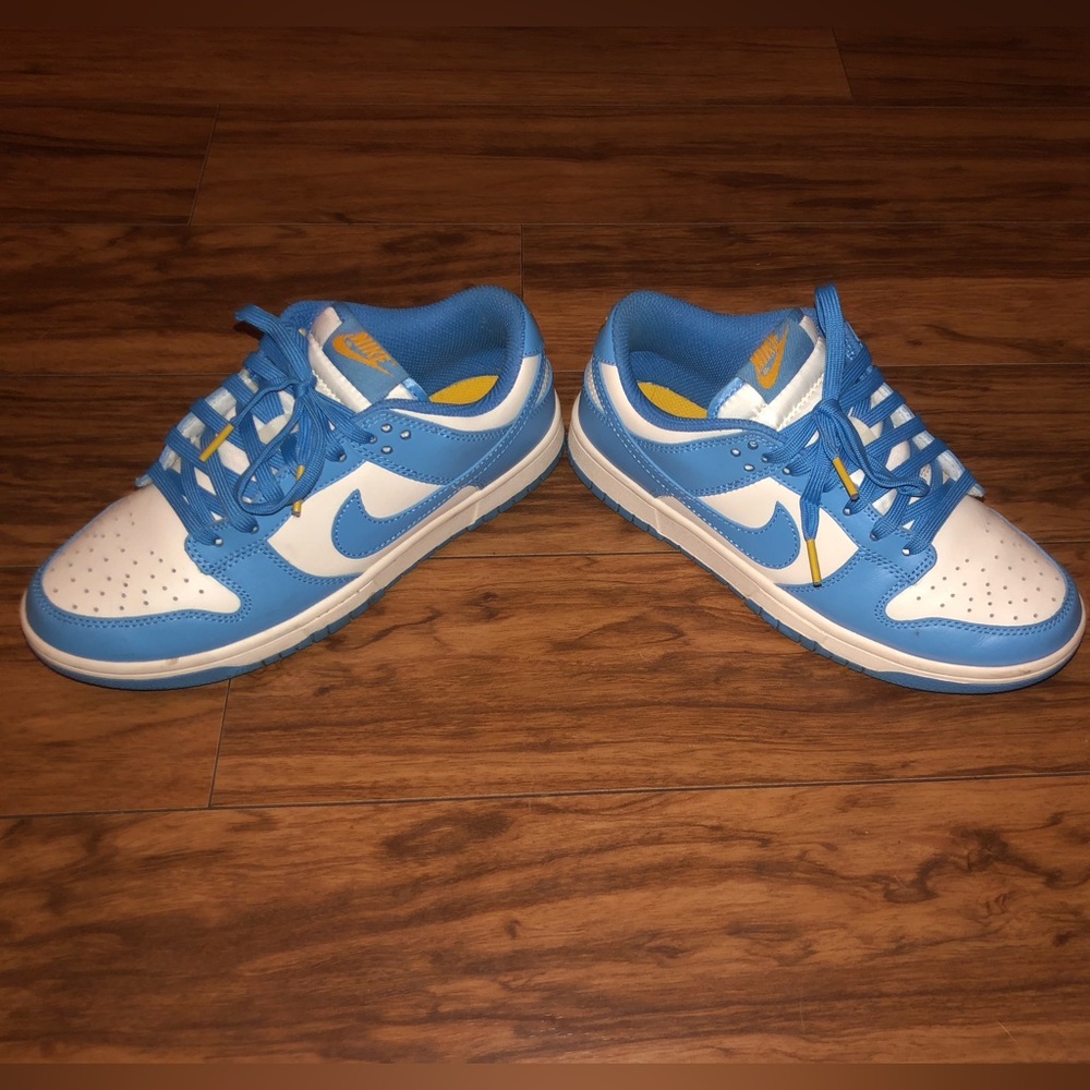 Nike dunk low coast